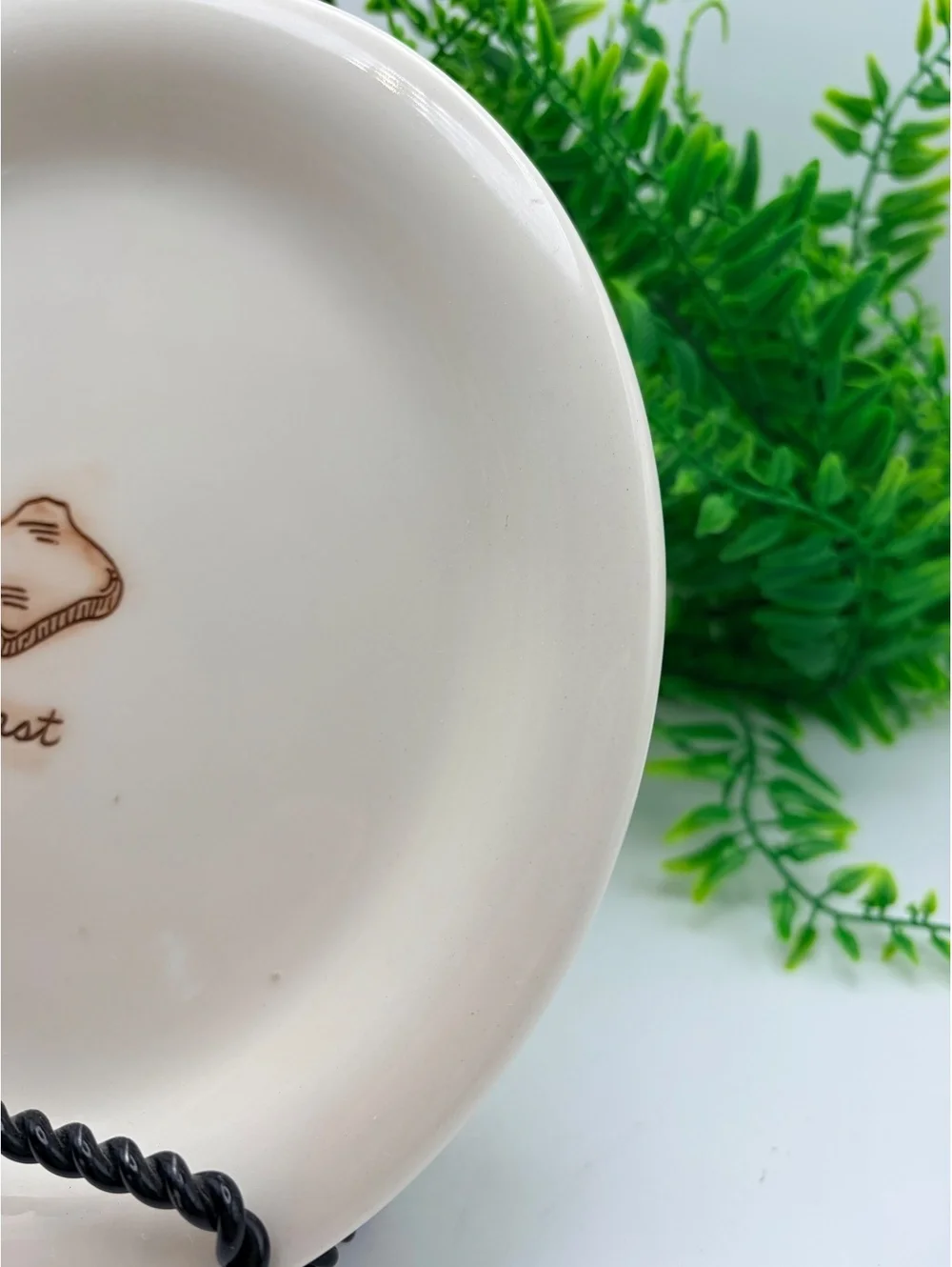 Williams Sonoma breakfast plate. No damage.